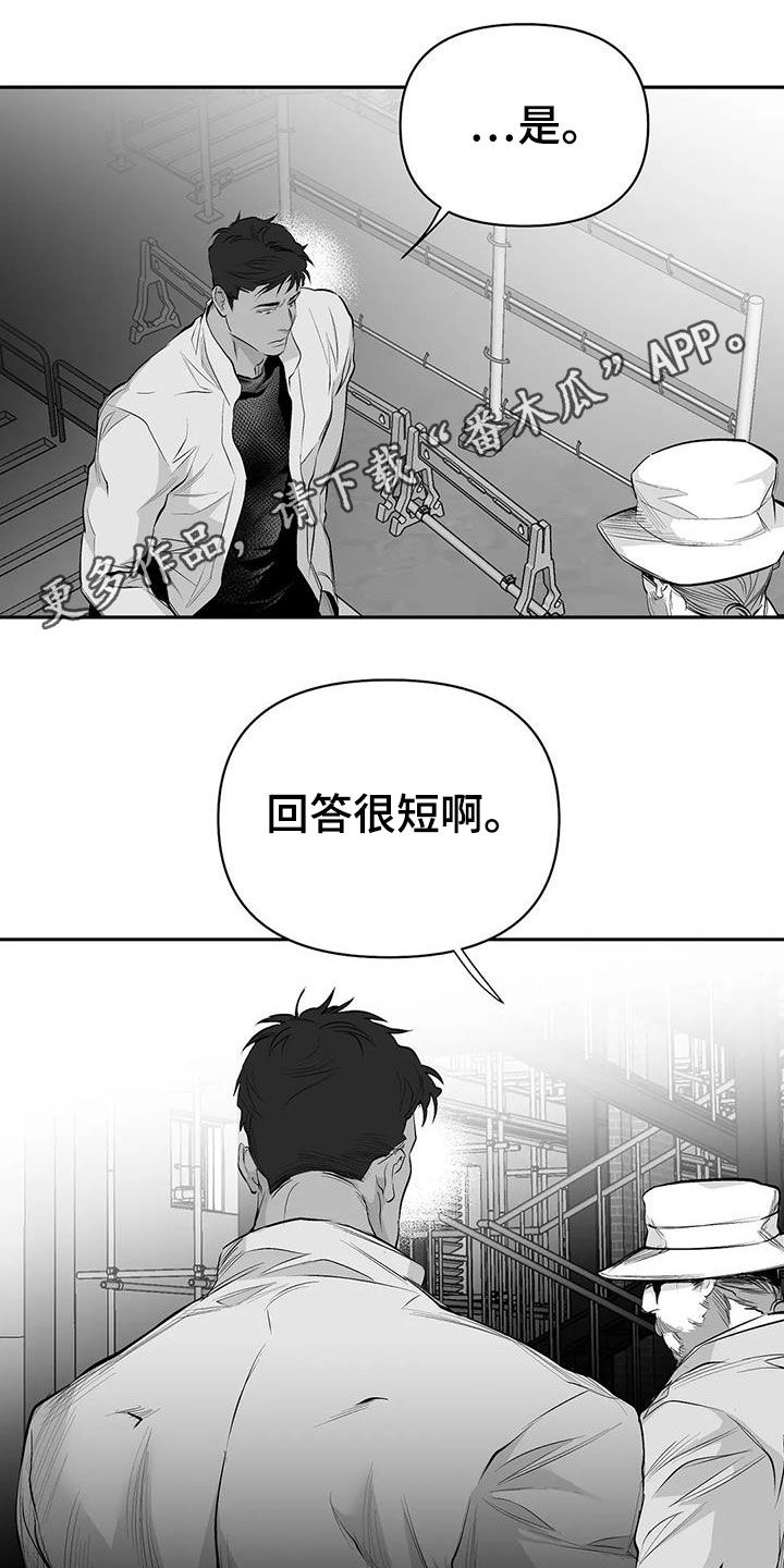 《拳击手》漫画最新章节第151章：【第三季】死也忘不掉免费下拉式在线观看章节第【28】张图片