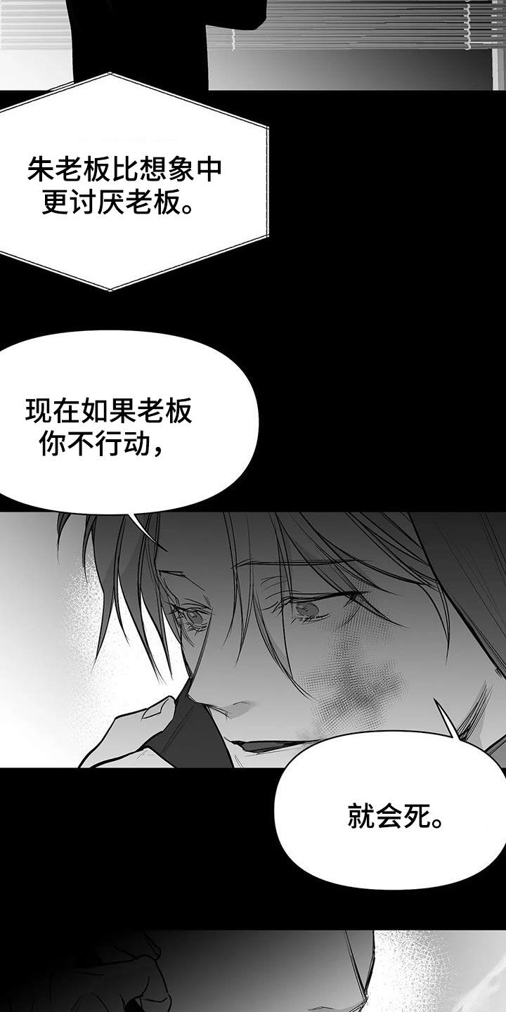 《拳击手》漫画最新章节第154章：【第三季】联合免费下拉式在线观看章节第【6】张图片