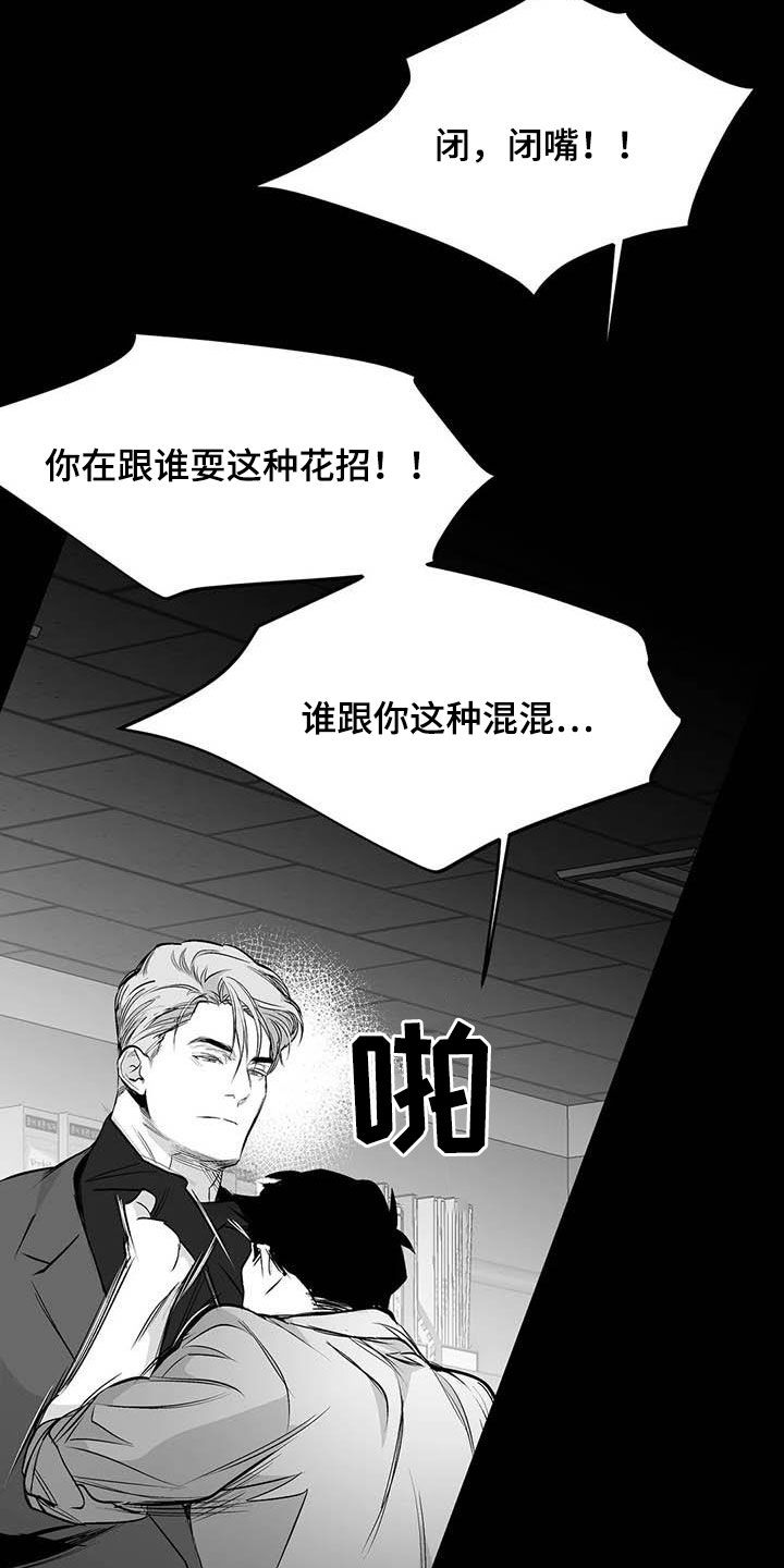 《拳击手》漫画最新章节第157章：【第三季】明星律师免费下拉式在线观看章节第【15】张图片