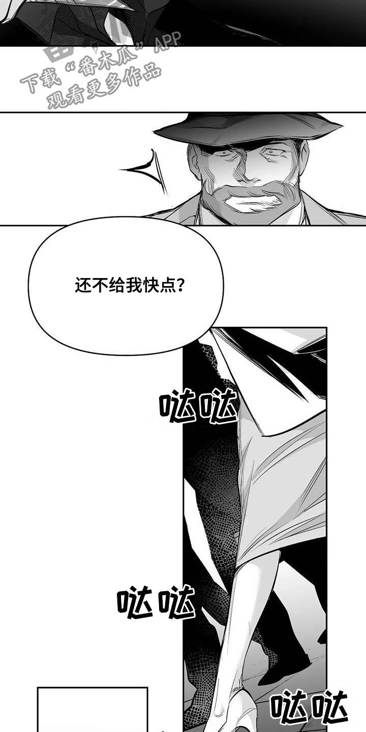 《拳击手》漫画最新章节第158章：【第三季】赶紧消灭免费下拉式在线观看章节第【5】张图片