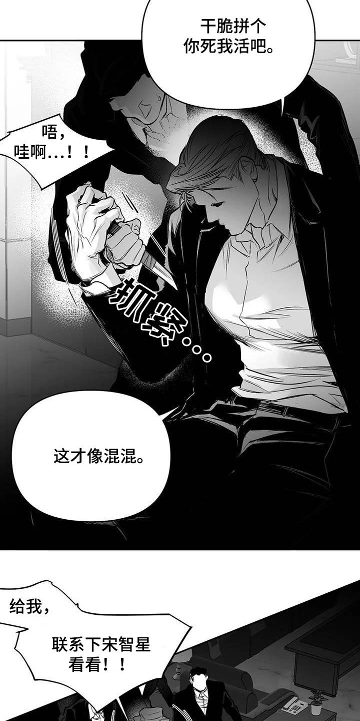 《拳击手》漫画最新章节第159章：【第三季】拼个你死我活免费下拉式在线观看章节第【2】张图片