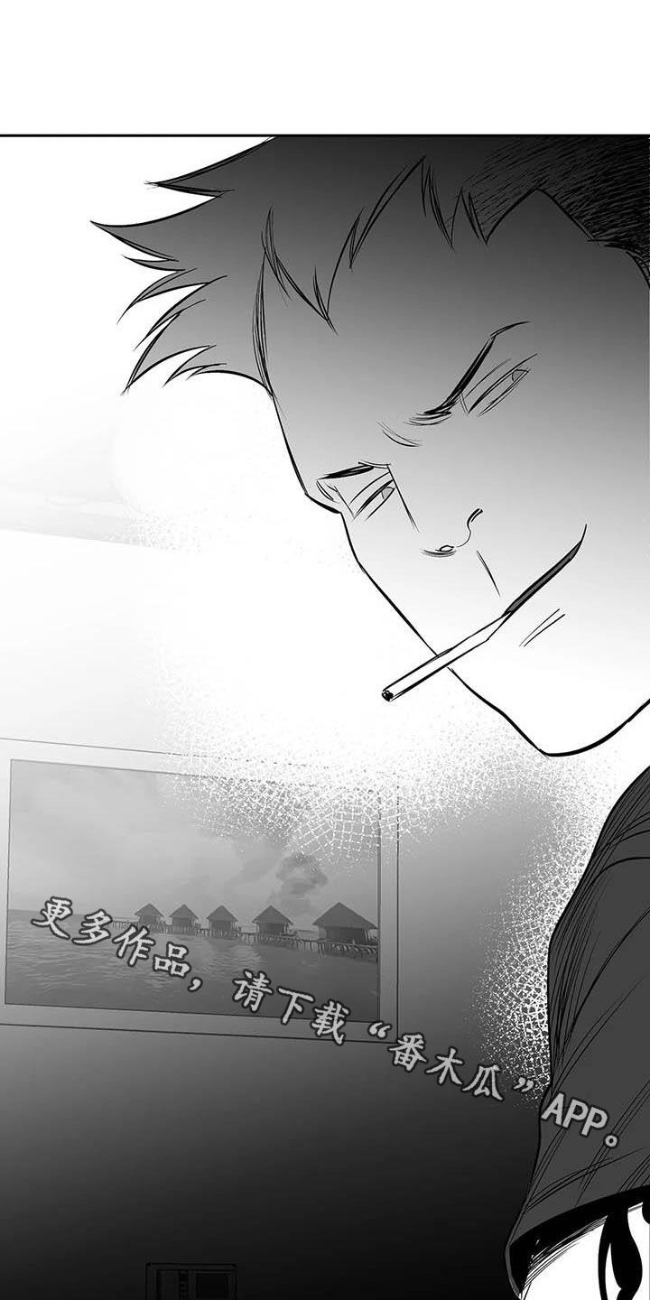 《拳击手》漫画最新章节第162章：【第三季】大干一场免费下拉式在线观看章节第【2】张图片