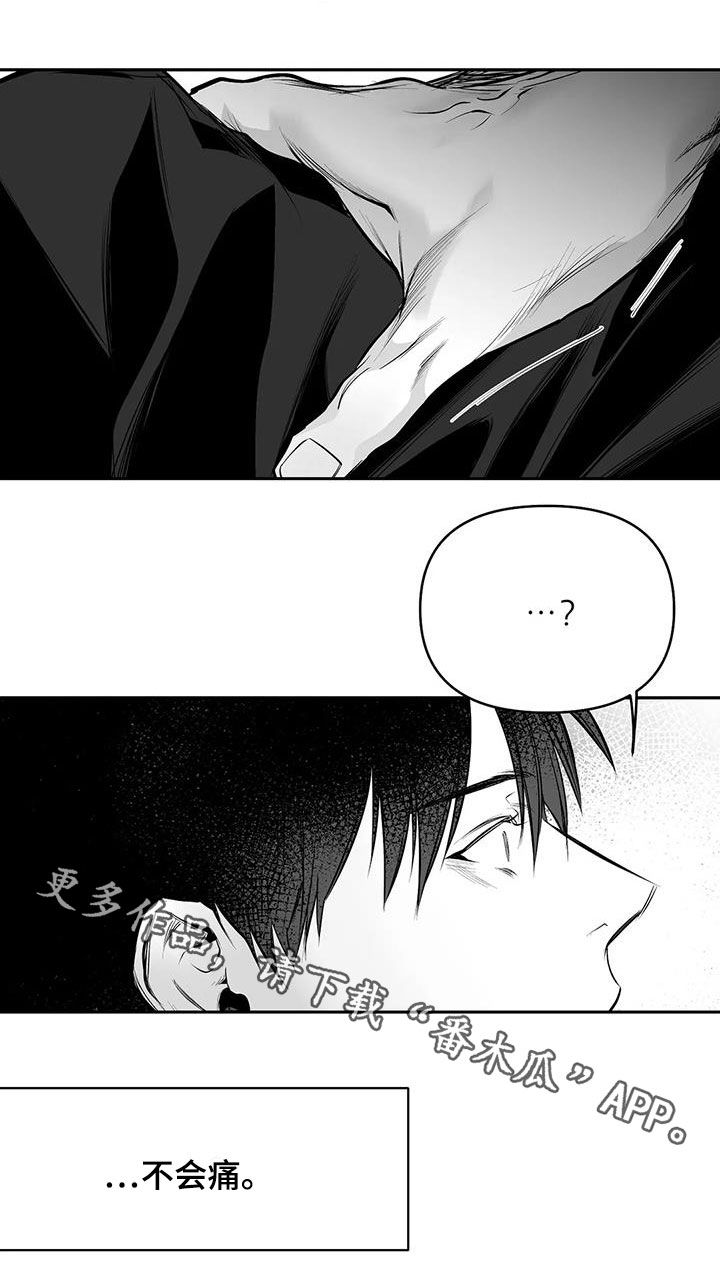 《拳击手》漫画最新章节第163章：【第三季】划清界限免费下拉式在线观看章节第【1】张图片