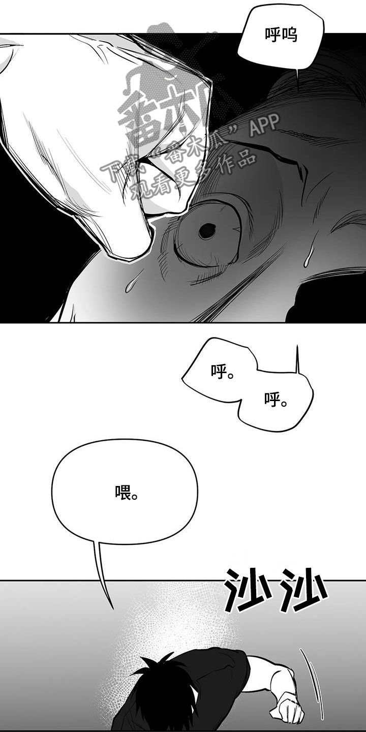 《拳击手》漫画最新章节第165章：【第三季】碾压免费下拉式在线观看章节第【13】张图片