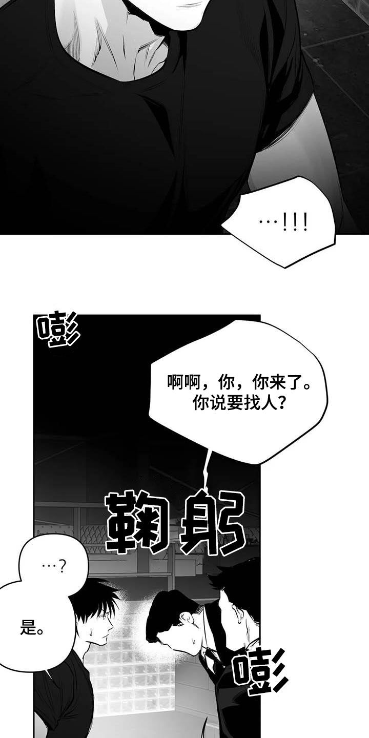 《拳击手》漫画最新章节第166章：【第三季】傻瓜免费下拉式在线观看章节第【18】张图片