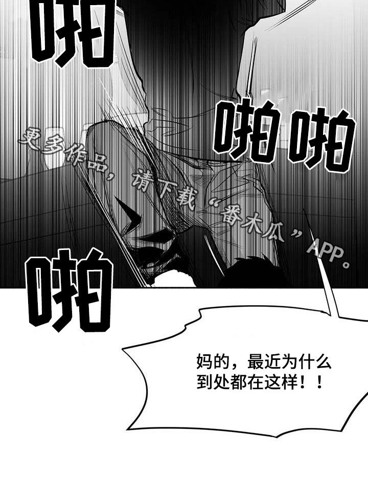 《拳击手》漫画最新章节第166章：【第三季】傻瓜免费下拉式在线观看章节第【1】张图片