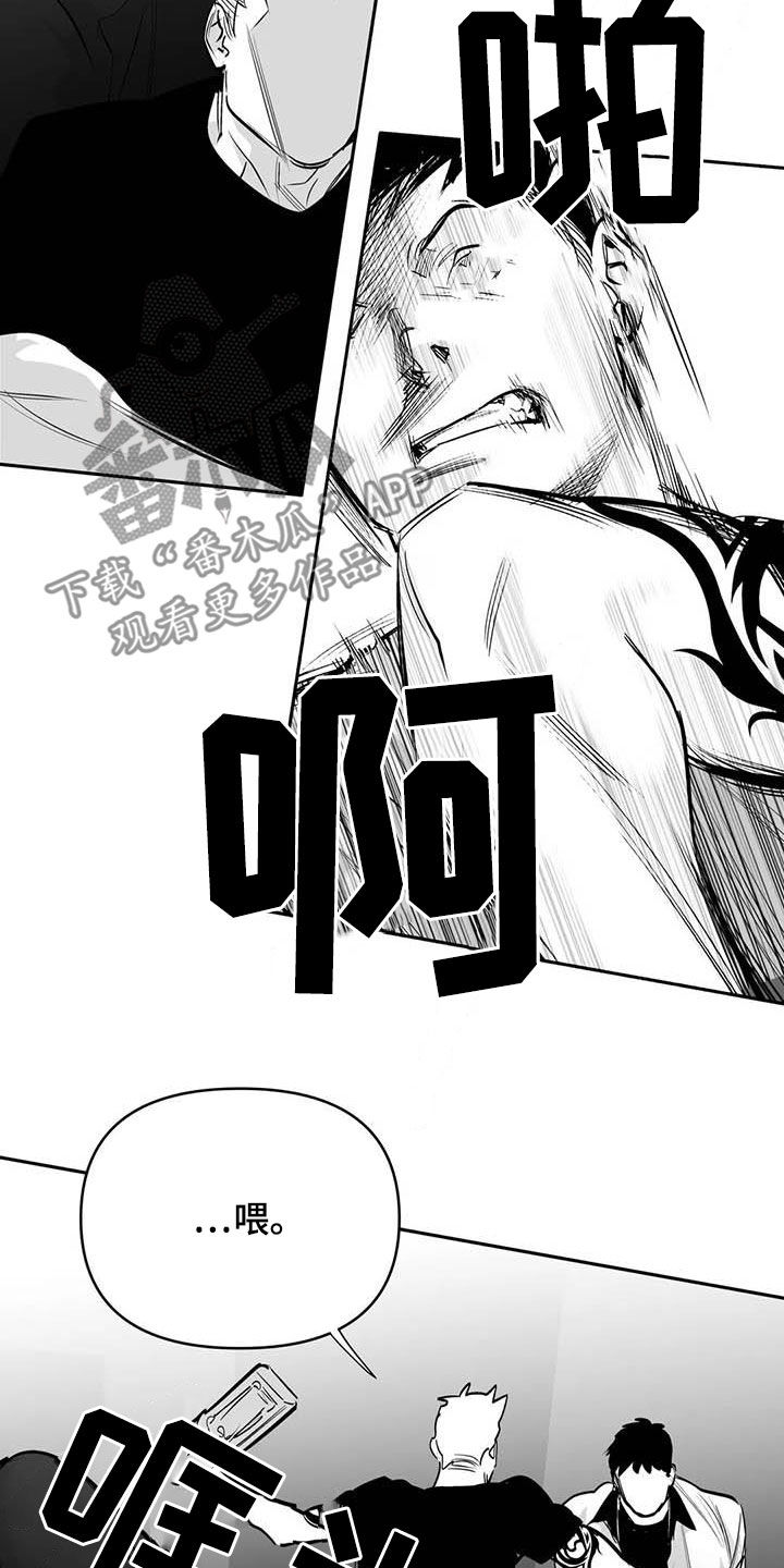 《拳击手》漫画最新章节第166章：【第三季】傻瓜免费下拉式在线观看章节第【7】张图片