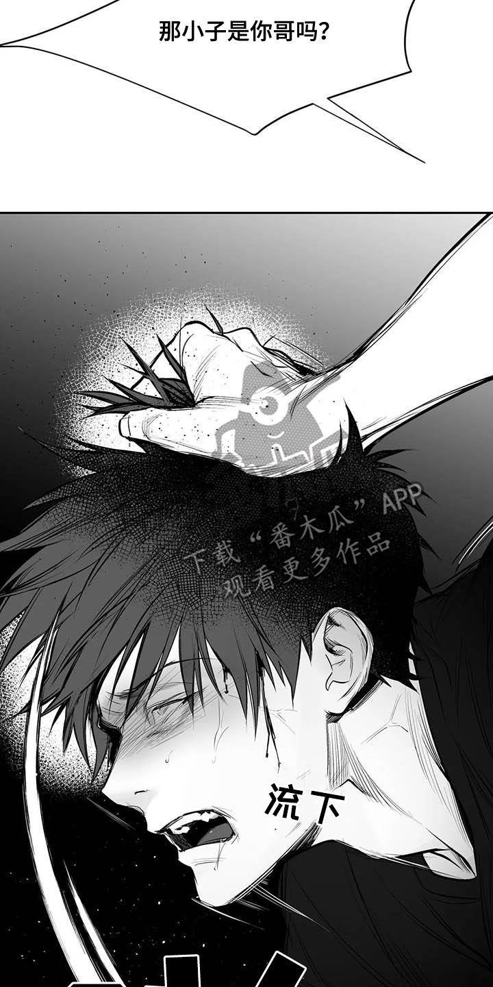 《拳击手》漫画最新章节第167章：【第三季】打不过免费下拉式在线观看章节第【19】张图片