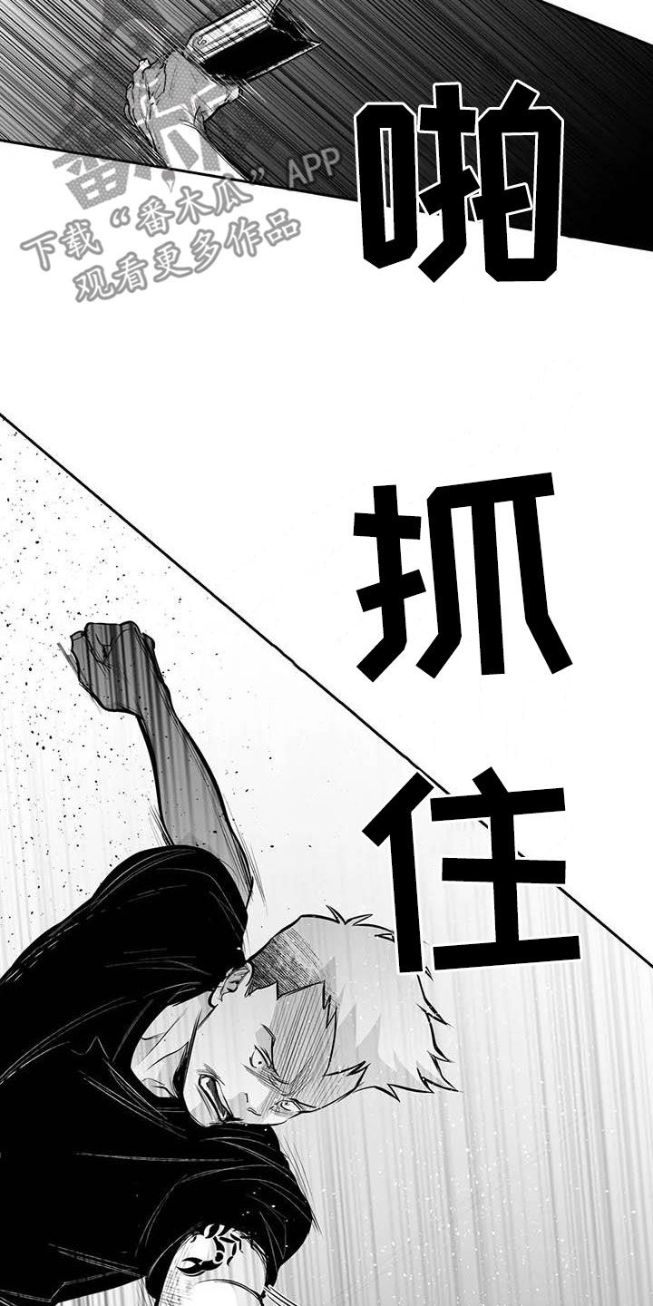 《拳击手》漫画最新章节第167章：【第三季】打不过免费下拉式在线观看章节第【29】张图片