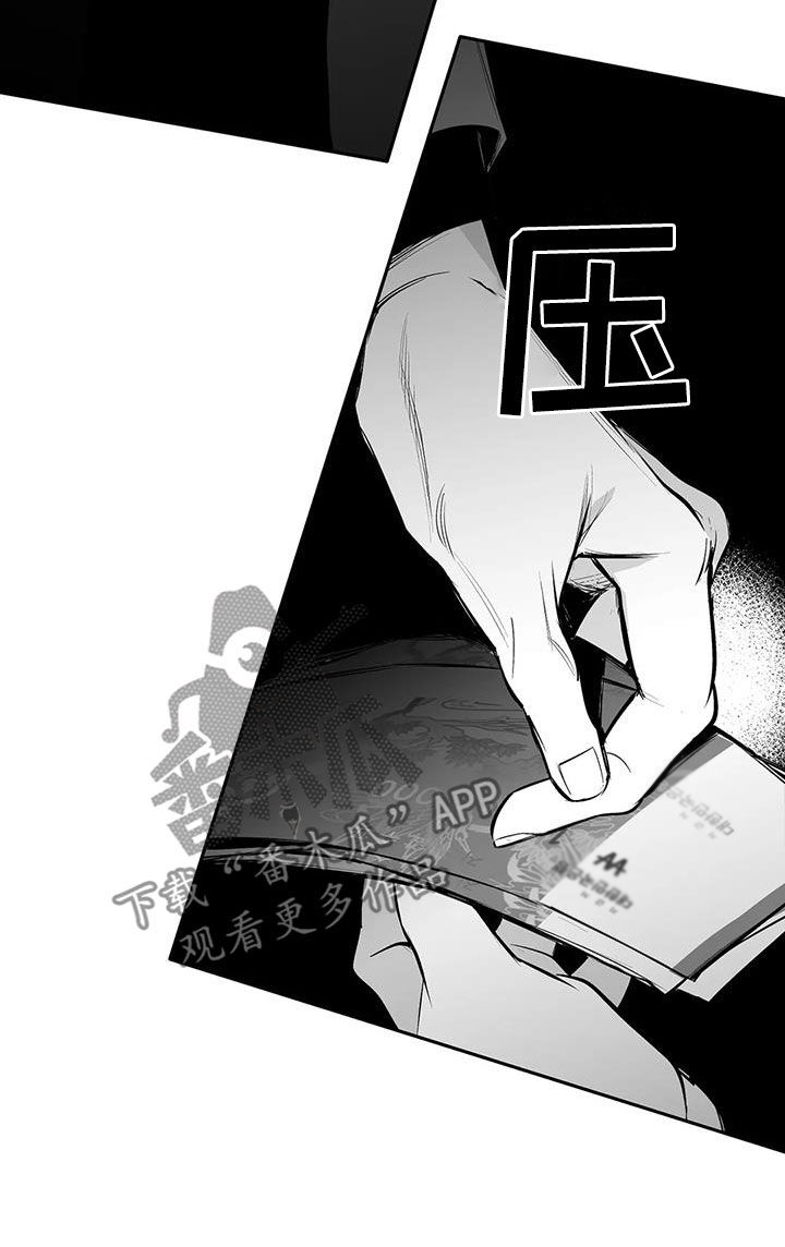 《拳击手》漫画最新章节第168章：【第三季】素不相识免费下拉式在线观看章节第【8】张图片