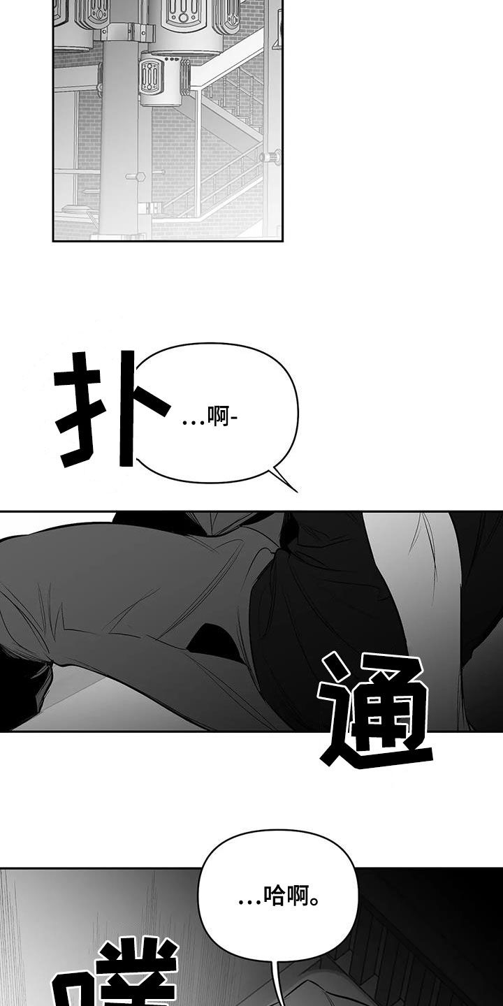 《拳击手》漫画最新章节第170章：【第三季】不陌生免费下拉式在线观看章节第【24】张图片