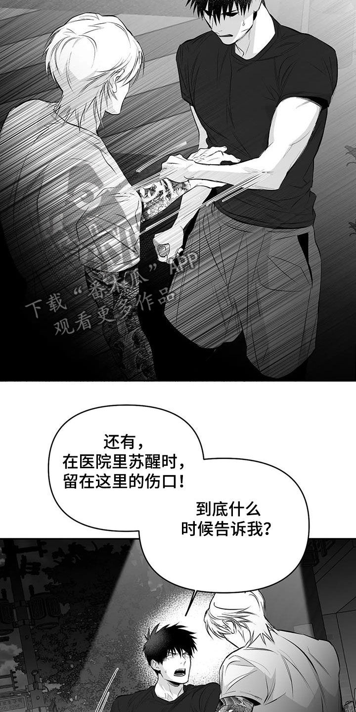 《拳击手》漫画最新章节第173章：【第三季】我也想知道免费下拉式在线观看章节第【8】张图片