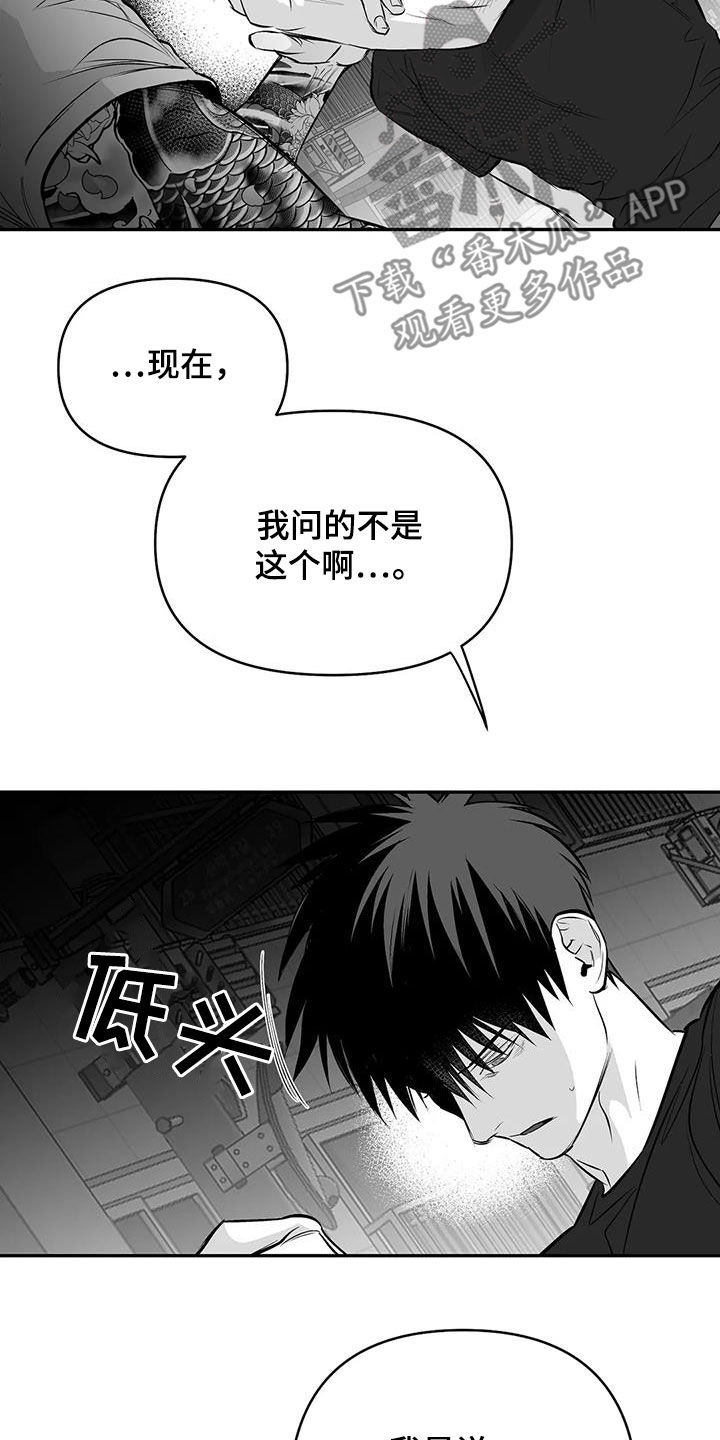 《拳击手》漫画最新章节第173章：【第三季】我也想知道免费下拉式在线观看章节第【17】张图片