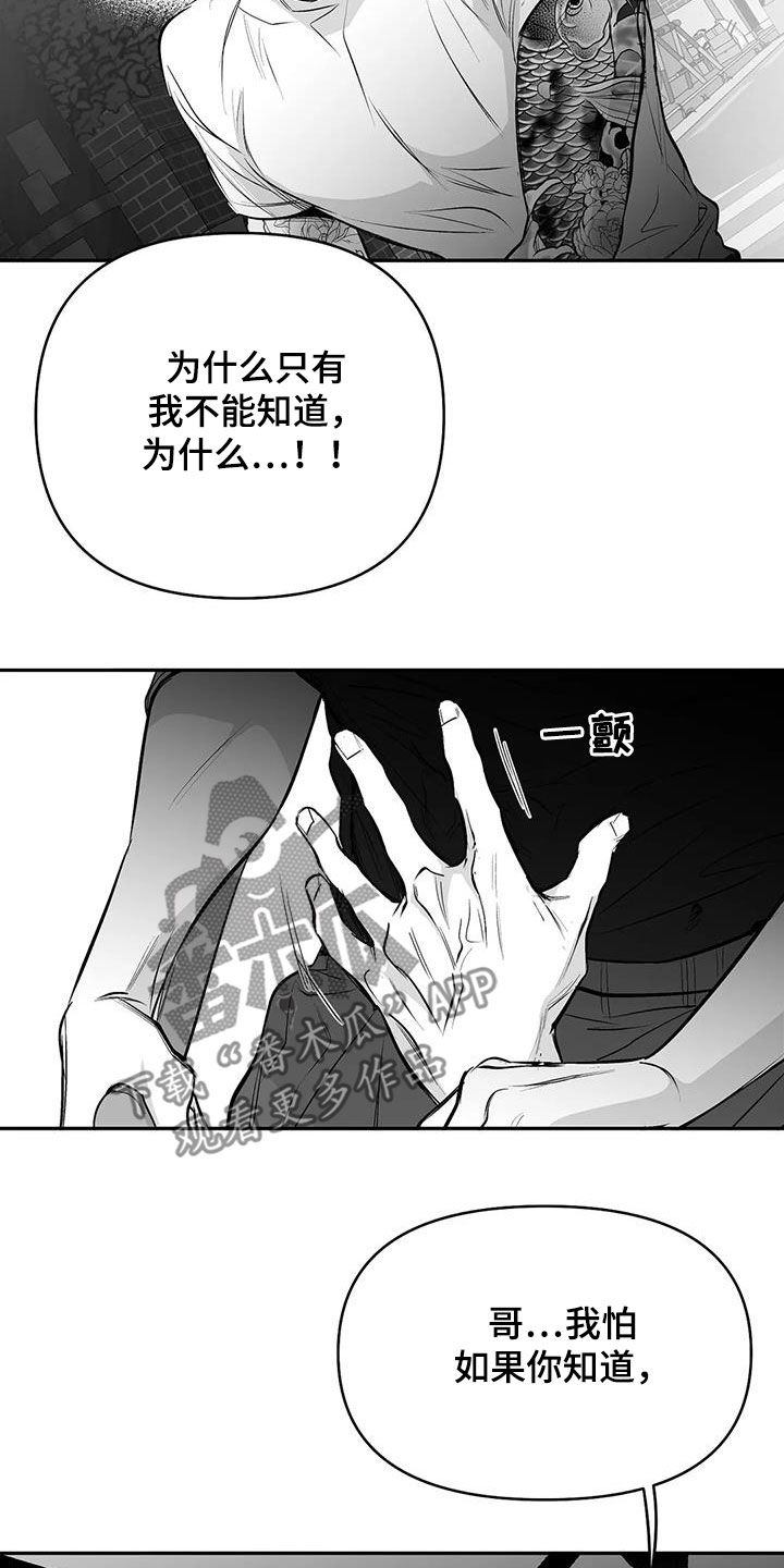 《拳击手》漫画最新章节第173章：【第三季】我也想知道免费下拉式在线观看章节第【6】张图片