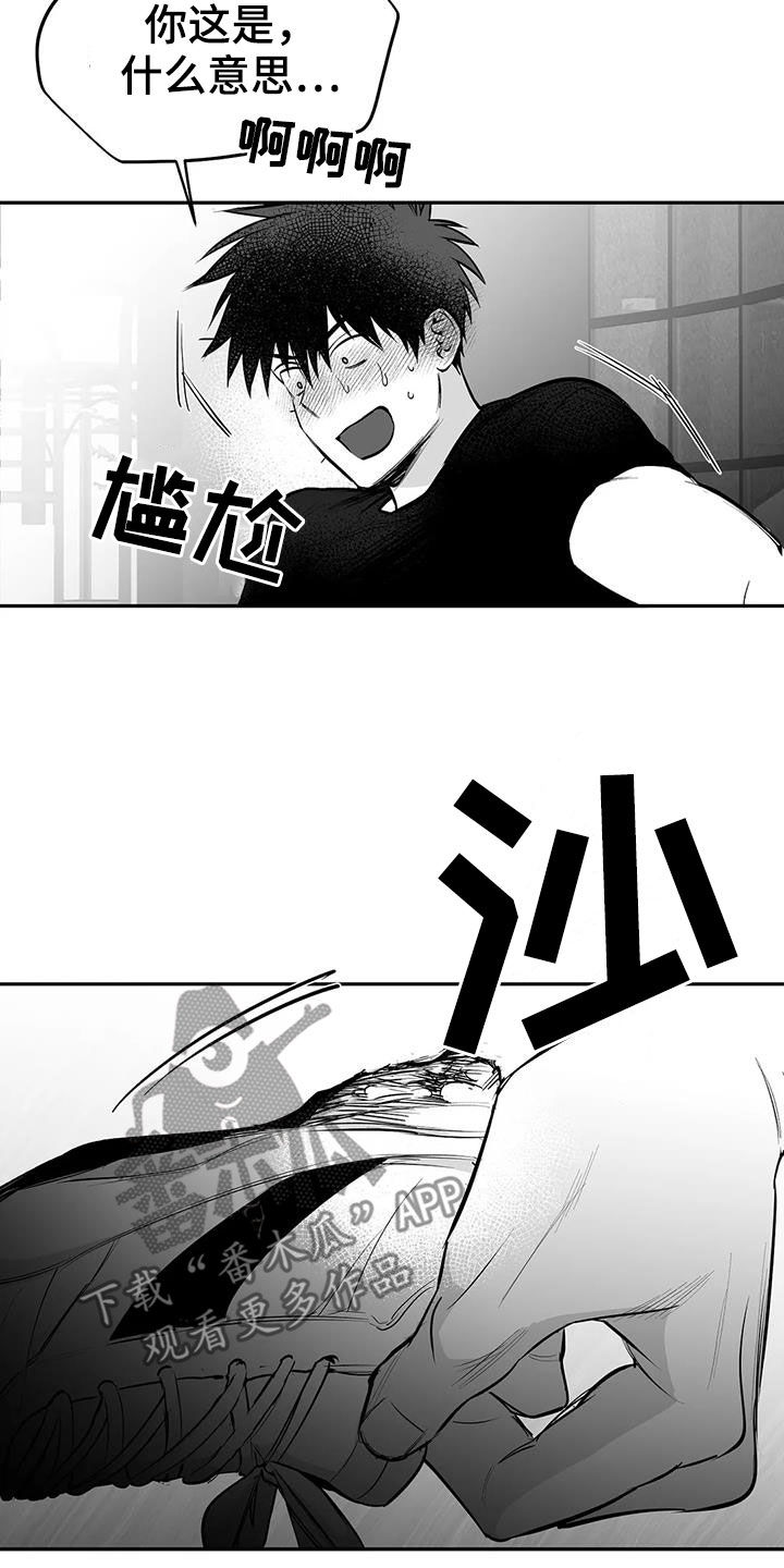 《拳击手》漫画最新章节第176章：【第三季】试鞋免费下拉式在线观看章节第【5】张图片