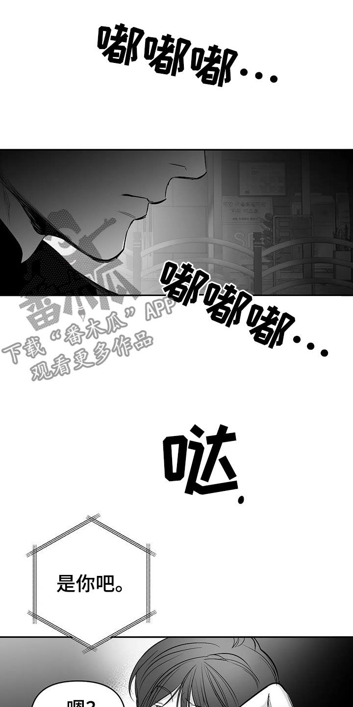 《拳击手》漫画最新章节第177章：【第三季】你再多说点免费下拉式在线观看章节第【9】张图片