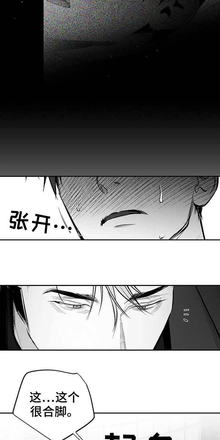 《拳击手》漫画最新章节第177章：【第三季】你再多说点免费下拉式在线观看章节第【14】张图片