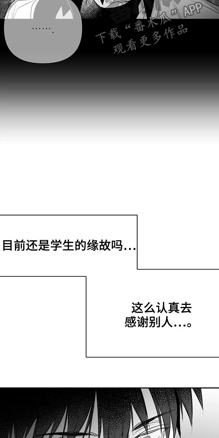 《拳击手》漫画最新章节第182章：【第三季】好好感谢你免费下拉式在线观看章节第【22】张图片