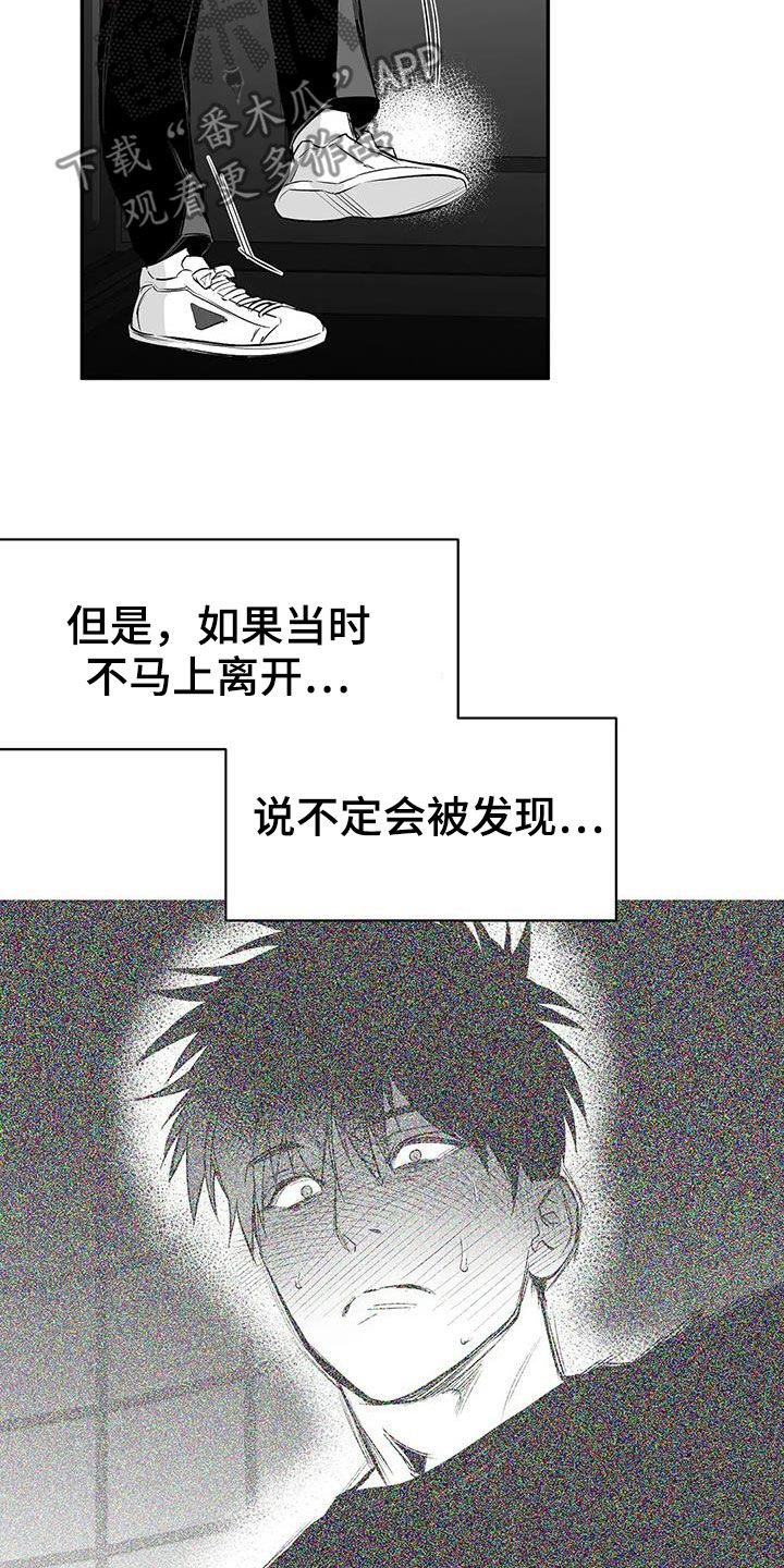 《拳击手》漫画最新章节第182章：【第三季】好好感谢你免费下拉式在线观看章节第【17】张图片