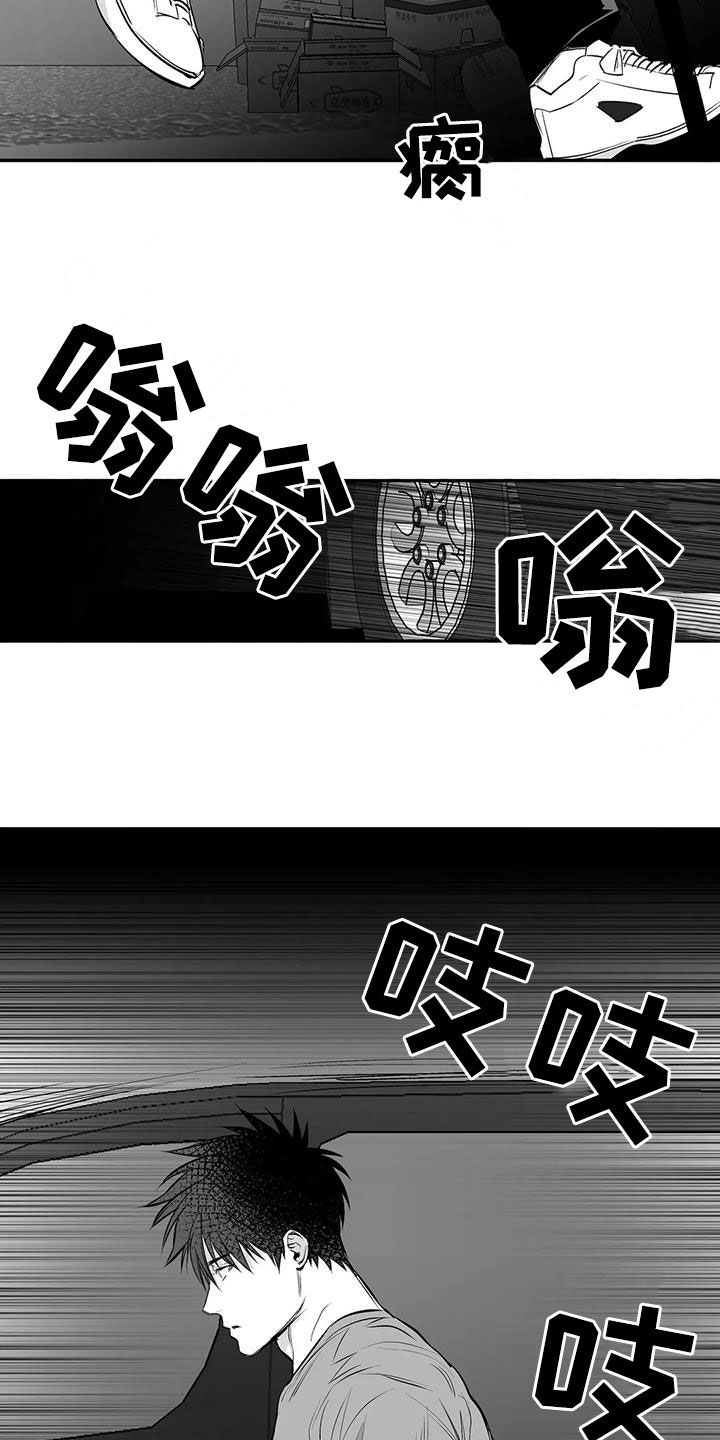 《拳击手》漫画最新章节第183章：【第三季】每天死一个免费下拉式在线观看章节第【14】张图片