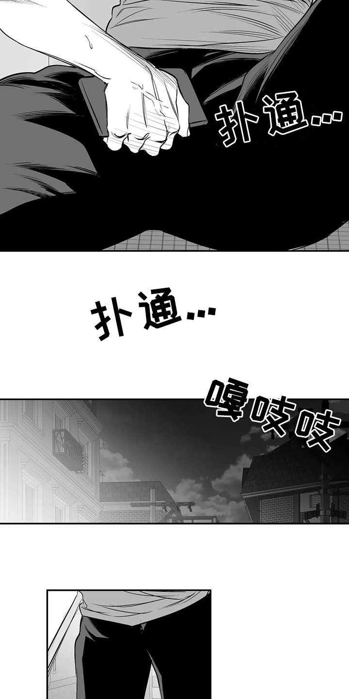 《拳击手》漫画最新章节第183章：【第三季】每天死一个免费下拉式在线观看章节第【19】张图片