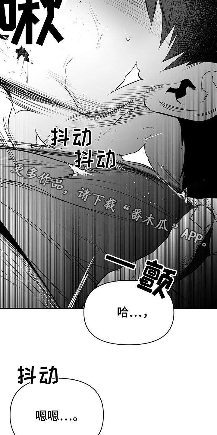 《拳击手》漫画最新章节第186章：【第三季】中毒了免费下拉式在线观看章节第【2】张图片