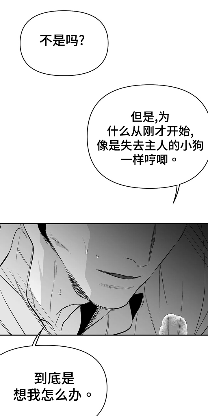 《拳击手》漫画最新章节第188章：【第三季】很开心免费下拉式在线观看章节第【5】张图片