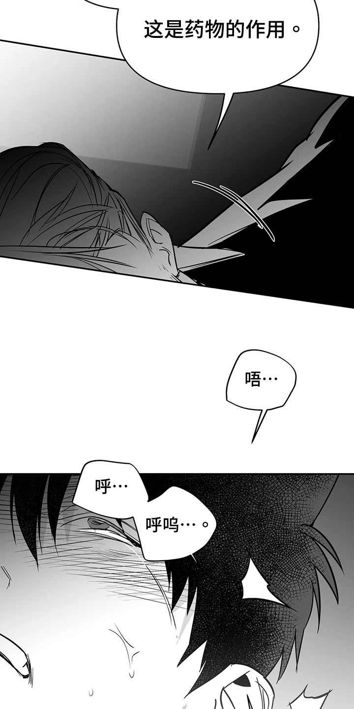 《拳击手》漫画最新章节第188章：【第三季】很开心免费下拉式在线观看章节第【14】张图片