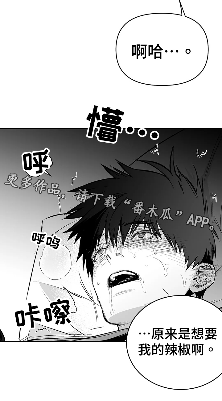 《拳击手》漫画最新章节第188章：【第三季】很开心免费下拉式在线观看章节第【1】张图片