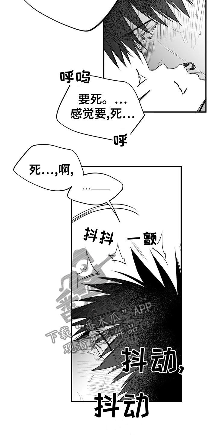 【拳击手】漫画-（第190章：【第三季】开心）章节漫画下拉式图片-6.jpg