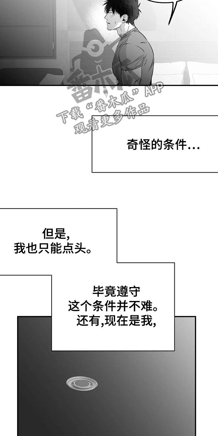 【拳击手】漫画-（第192章：【第三季】作为朋友）章节漫画下拉式图片-15.jpg