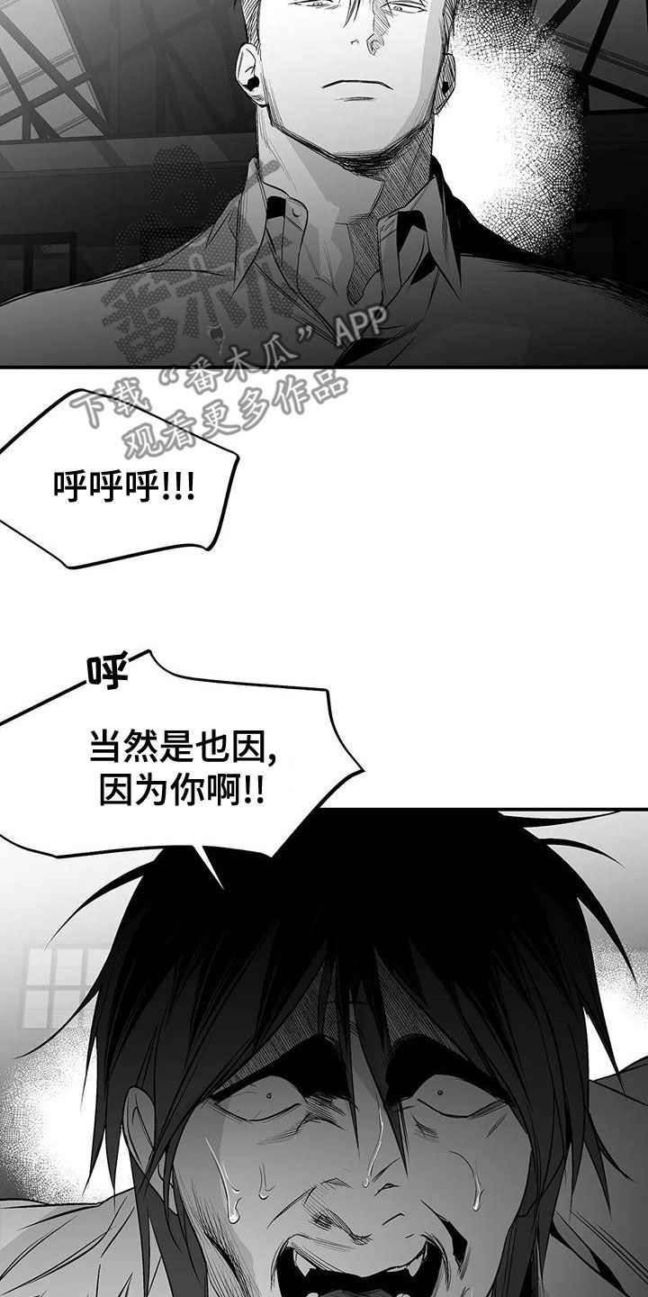 《拳击手》漫画最新章节第193章：【第三季】都是因为你免费下拉式在线观看章节第【11】张图片