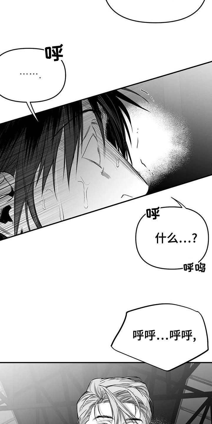 《拳击手》漫画最新章节第193章：【第三季】都是因为你免费下拉式在线观看章节第【12】张图片