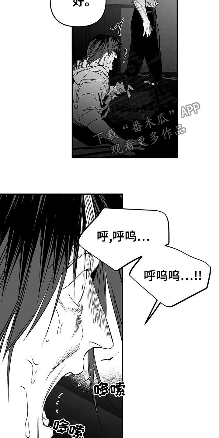 《拳击手》漫画最新章节第193章：【第三季】都是因为你免费下拉式在线观看章节第【17】张图片