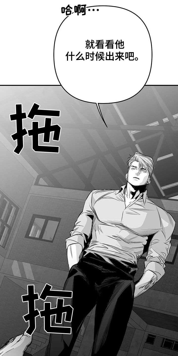 《拳击手》漫画最新章节第195章：【第三季】蛇抬头免费下拉式在线观看章节第【8】张图片