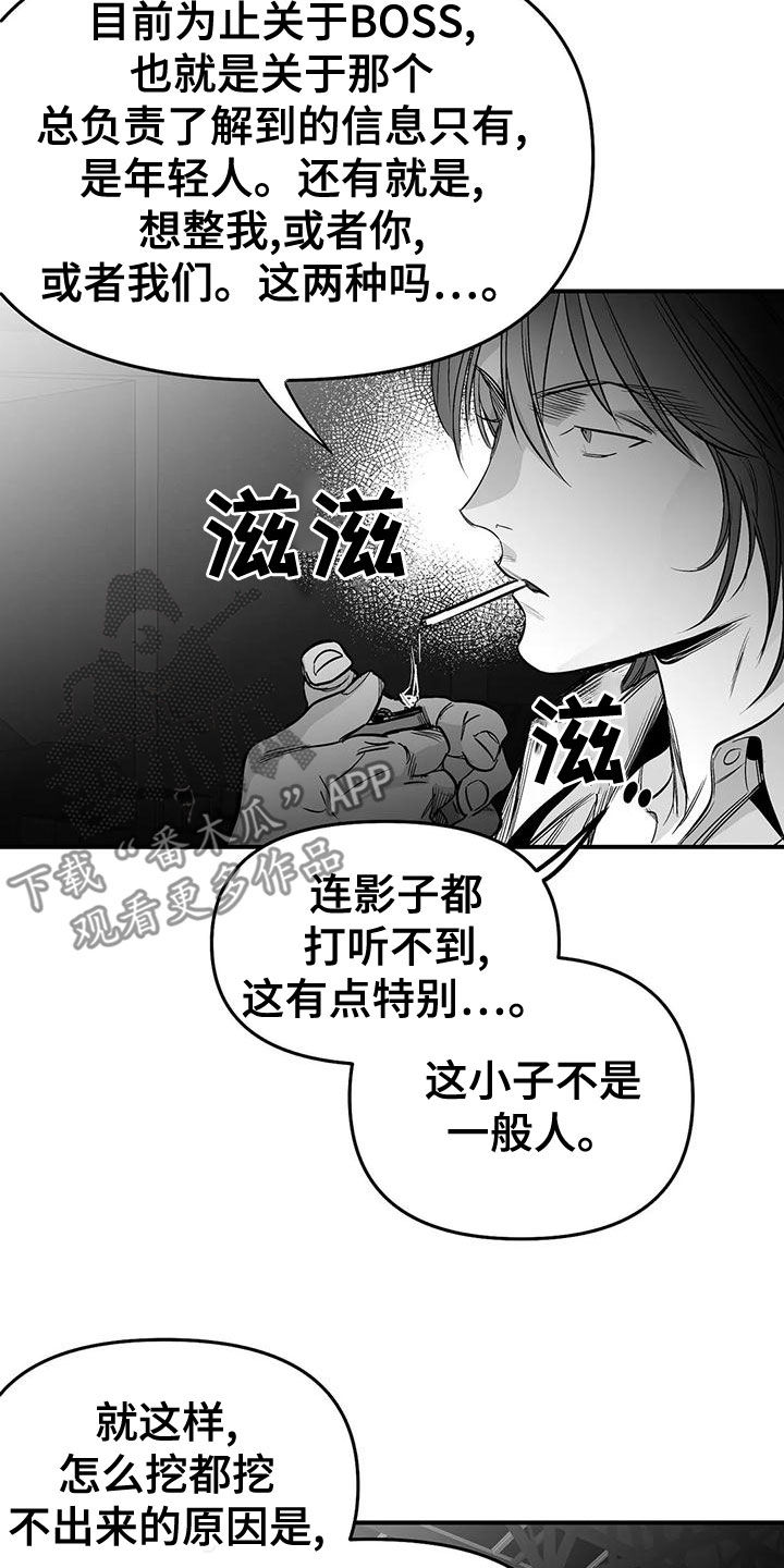 《拳击手》漫画最新章节第195章：【第三季】蛇抬头免费下拉式在线观看章节第【14】张图片