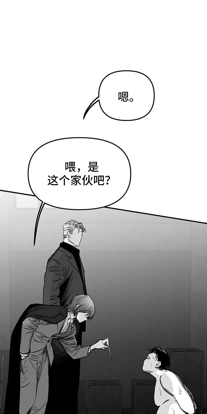 《拳击手》漫画最新章节第200章：【第三季】开始行动免费下拉式在线观看章节第【17】张图片