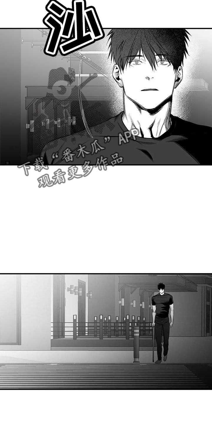 《拳击手》漫画最新章节第201章：【第三季】去散步免费下拉式在线观看章节第【7】张图片