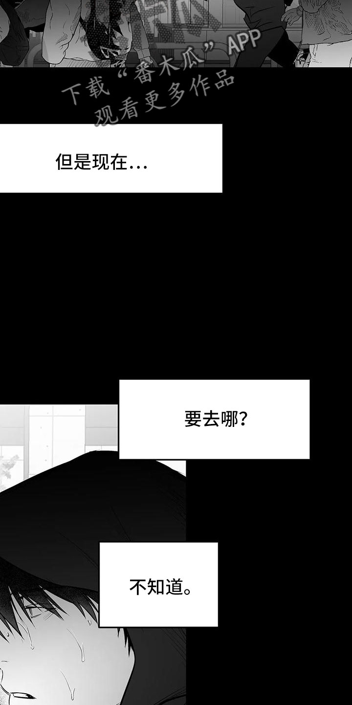 《拳击手》漫画最新章节第201章：【第三季】去散步免费下拉式在线观看章节第【32】张图片