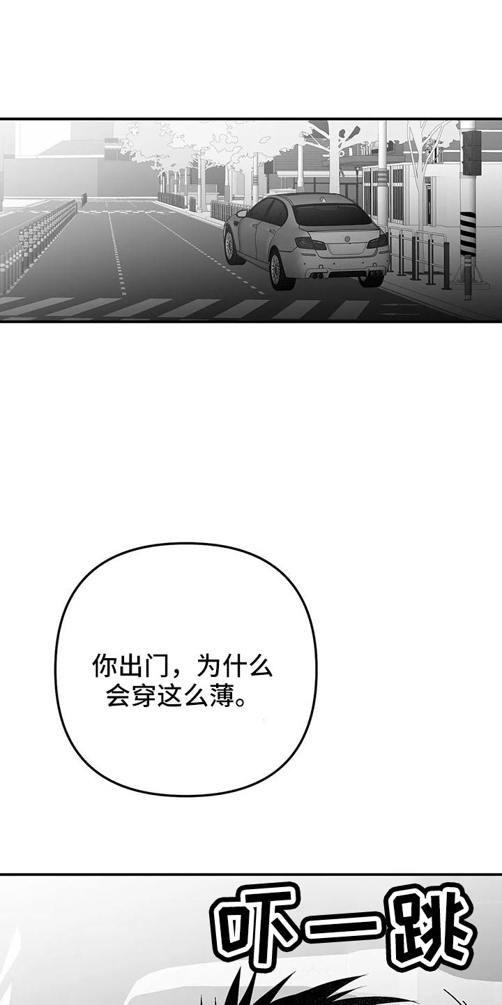 《拳击手》漫画最新章节第202章：【第三季】今天不忙免费下拉式在线观看章节第【37】张图片