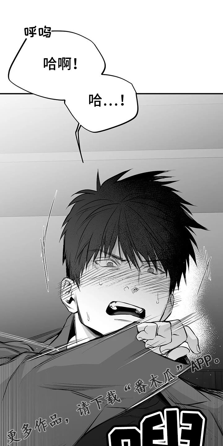 《拳击手》漫画最新章节第206章：【第三季】耍我啊免费下拉式在线观看章节第【17】张图片