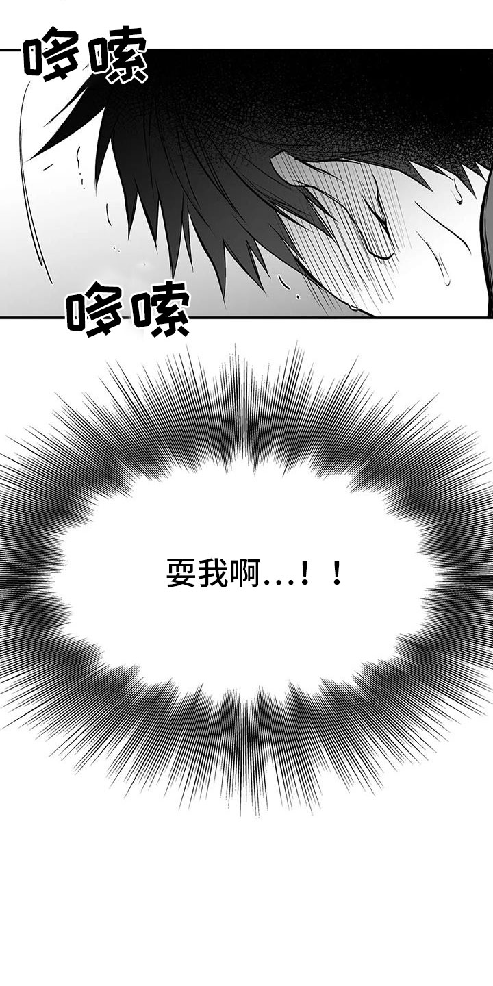 《拳击手》漫画最新章节第206章：【第三季】耍我啊免费下拉式在线观看章节第【19】张图片