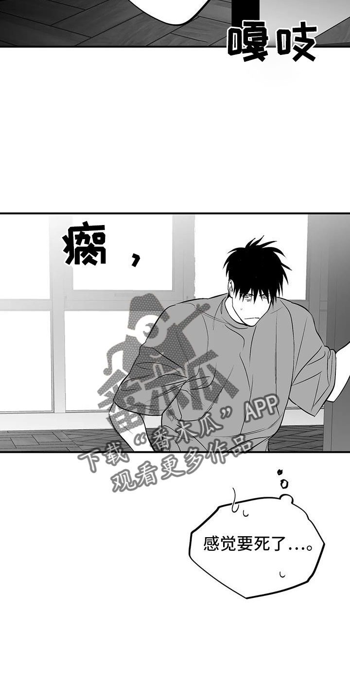 《拳击手》漫画最新章节第209章：【第三季】要死了免费下拉式在线观看章节第【7】张图片