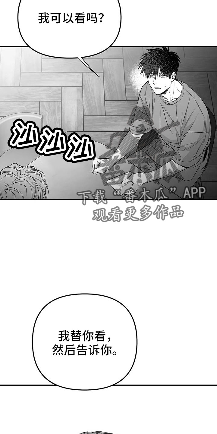 【拳击手】漫画-（第210章：【第三季】替你看）章节漫画下拉式图片-33.jpg