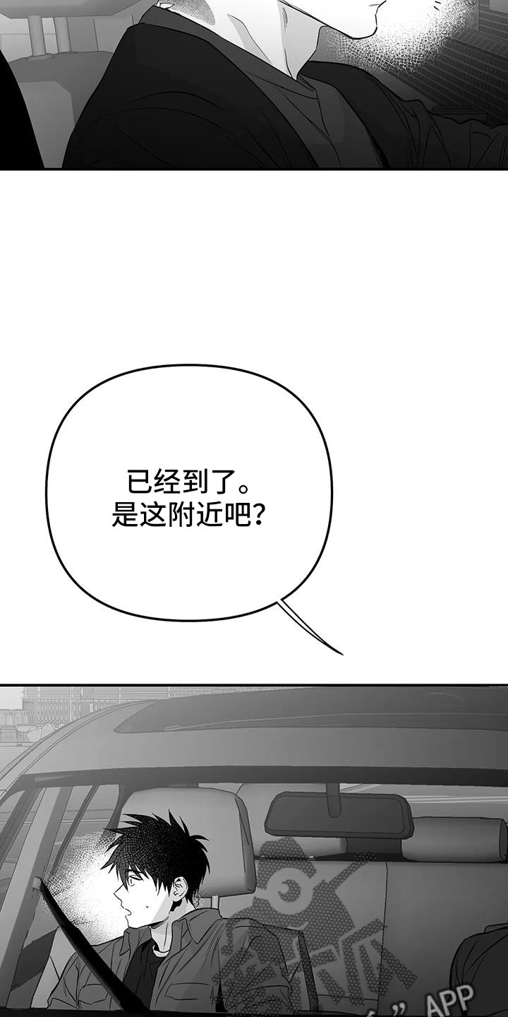 《拳击手》漫画最新章节第211章：【第三季】我来接你免费下拉式在线观看章节第【26】张图片