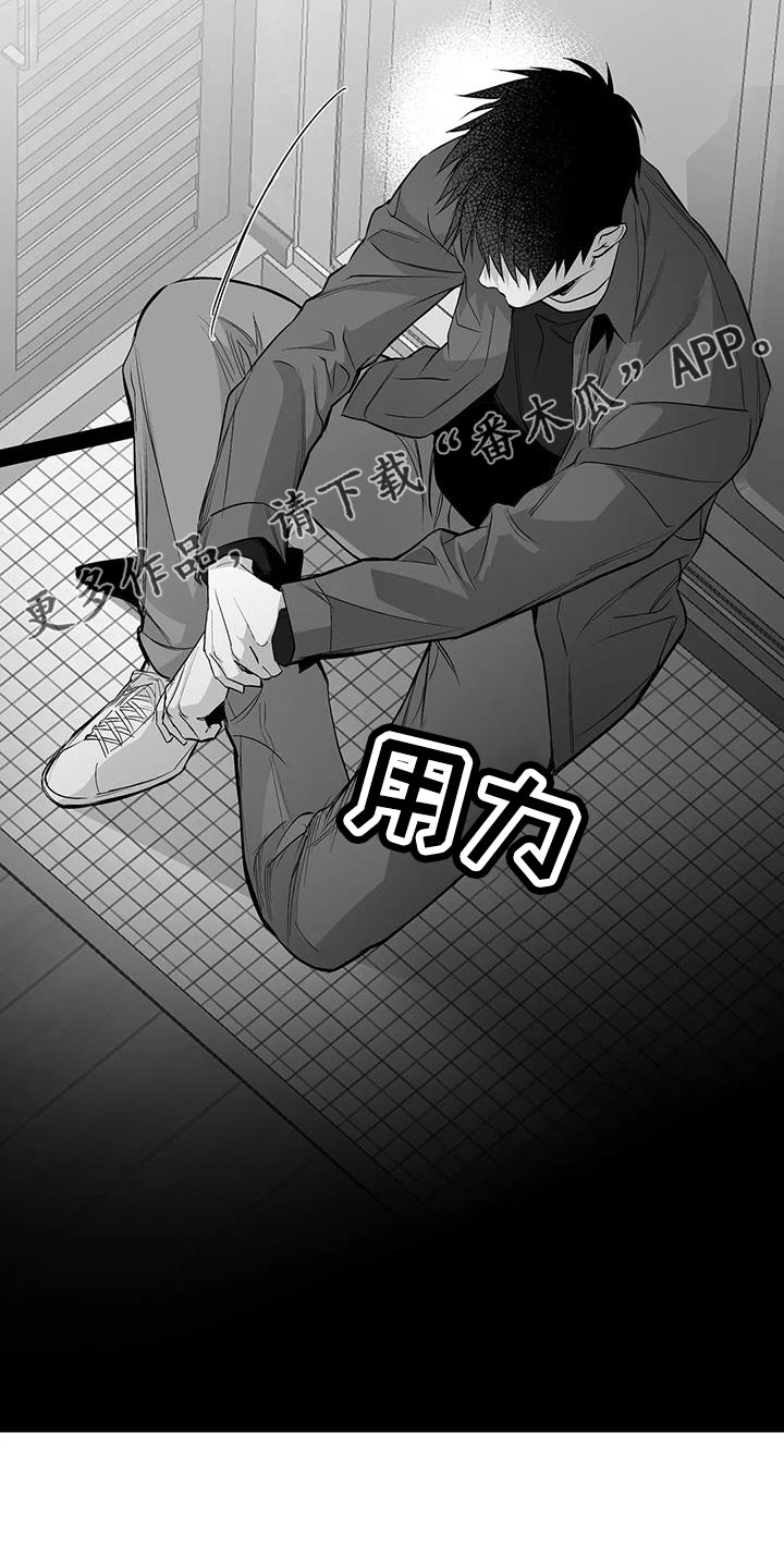 《拳击手》漫画最新章节第212章：【第三季】条件是什么来着免费下拉式在线观看章节第【13】张图片