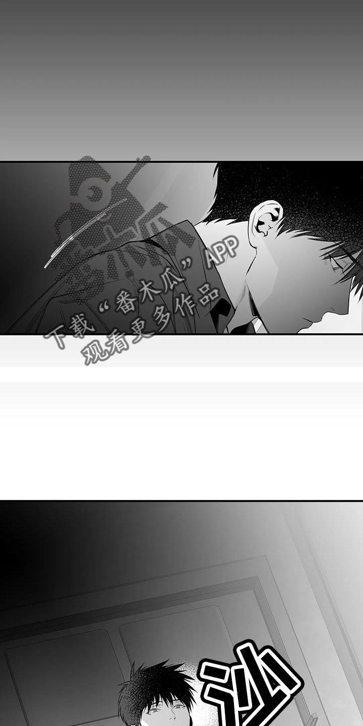 《拳击手》漫画最新章节第212章：【第三季】条件是什么来着免费下拉式在线观看章节第【17】张图片