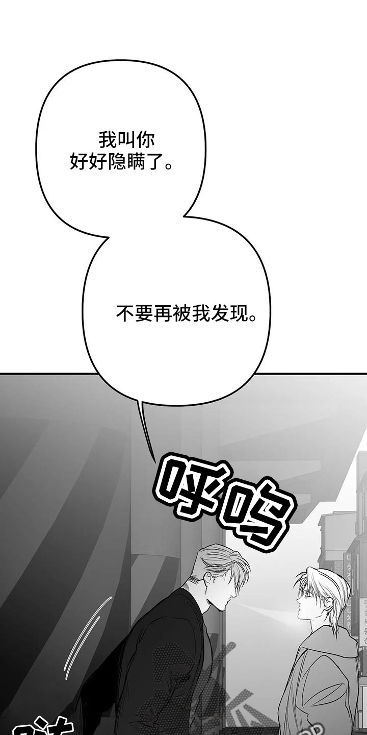 【拳击手】漫画-（第213章：【第三季】果然迟）章节漫画下拉式图片-1.jpg