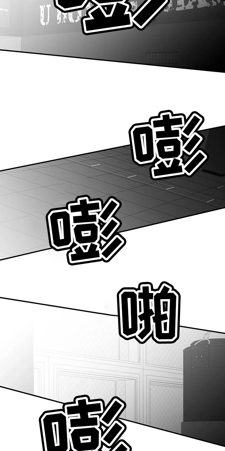 《拳击手》漫画最新章节第214章：【第三季】那人很危险免费下拉式在线观看章节第【14】张图片