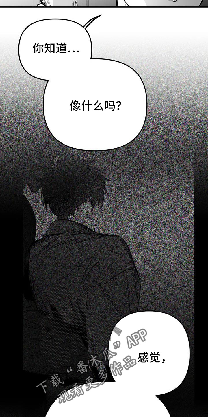 《拳击手》漫画最新章节第215章：【第三季】不像自己免费下拉式在线观看章节第【17】张图片